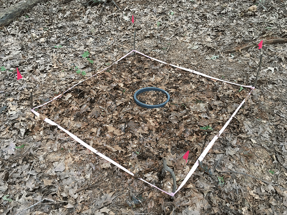 photo of soil plot used to study differences in methane-uptake in wet and dry soil