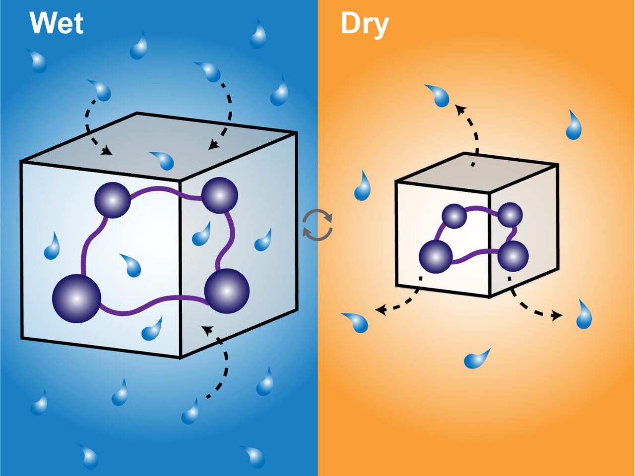 Illustration comparing wet and dry states, showing molecules with water droplets in a blue background and an orange background.