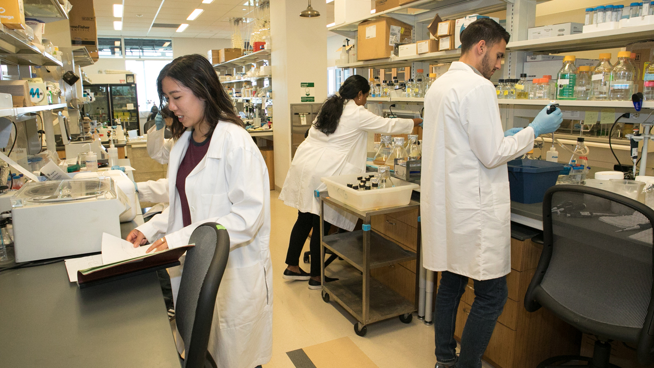 student conducting research in a structural biology lab