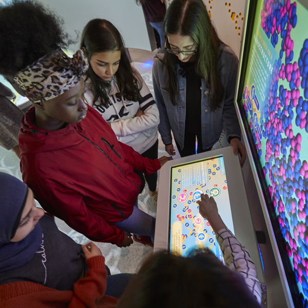 students interacting with an exhibit in the ASRC Illumination Space