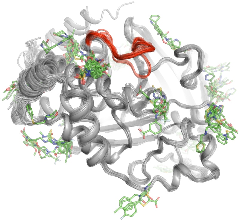 Illustration of PTP1B protein.
