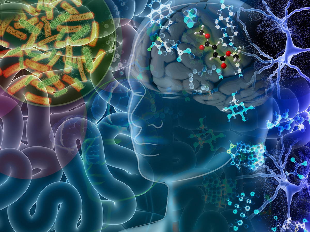 digital illustration of a brain and neurons