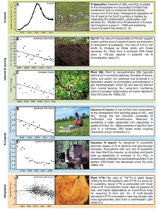 A graphic displaying nitrogen deficiency.