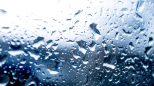 Raindrops on a window. 