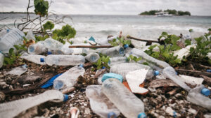 Plastic bottle litter on beach