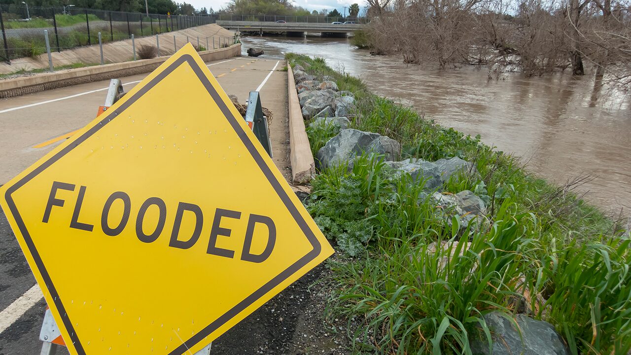 A yellow 'FLOODED' warning sign beside a high water river and overgrown grass near a partially submerged path.
