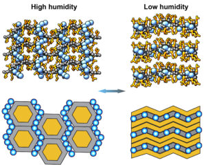 Comparative molecular structure diagrams for high and low humidity, showing arrangement changes and bonding.