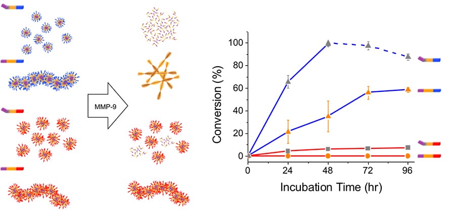 Illustration of nanostructures influenced by cancer cells