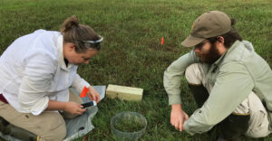 Amanda Suchy and Ben Glass-Siegel conducting research on grass