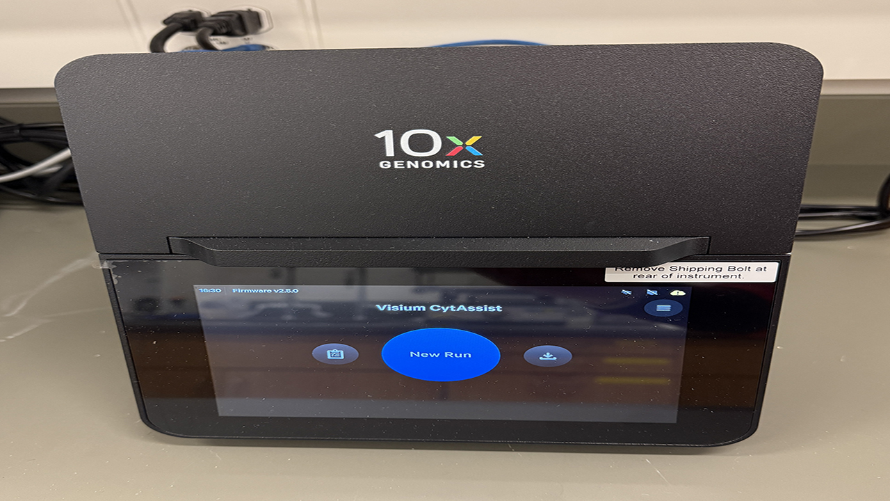 10X Visium CytAssist