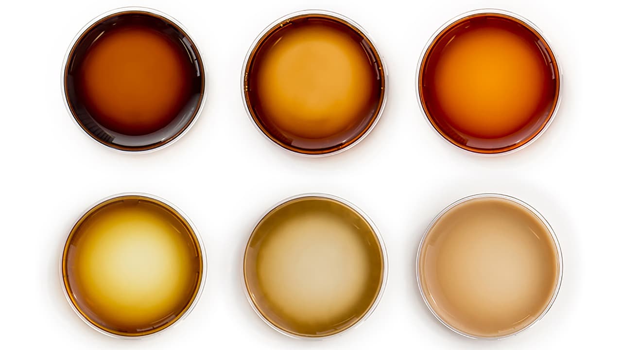 samples showing different levels of melanin