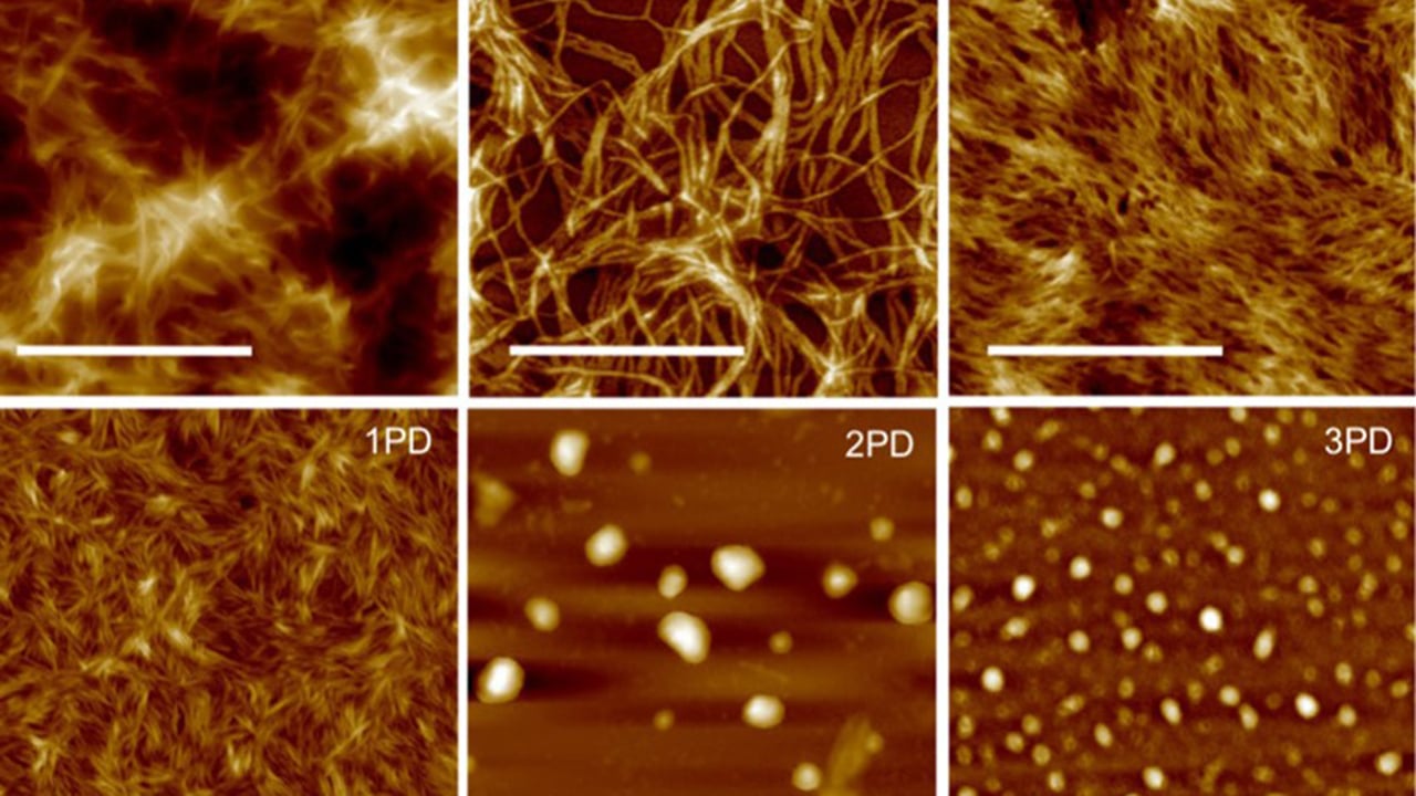 microscope images of tiny nanomaterials