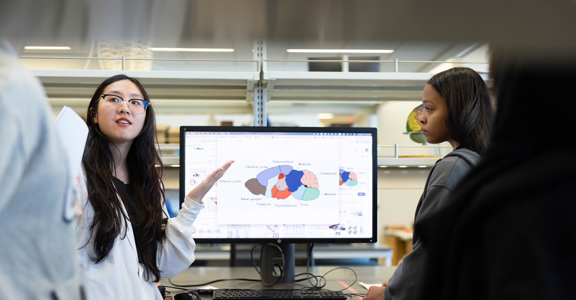 A student explains a colorful Venn diagram on a computer screen while another student looks on attentively in a lab.
